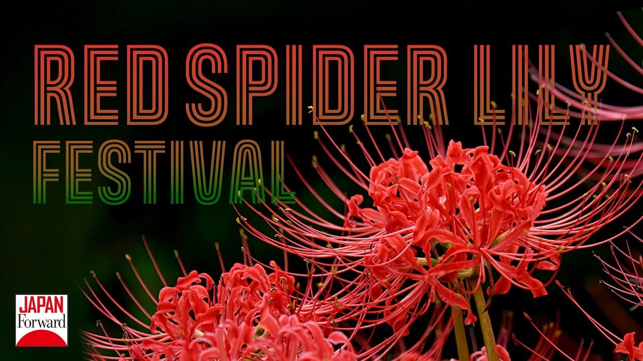 🌸 곤겐도 제방 (곤겐도 츠츠미) 이미지 11